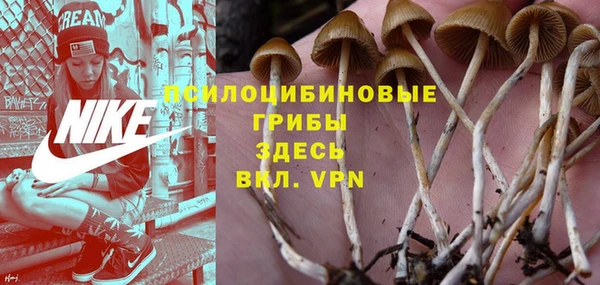 скорость Абаза