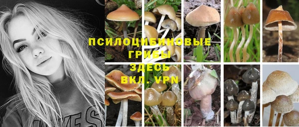 мет Алзамай