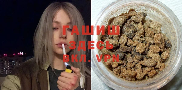 стаф Алексин
