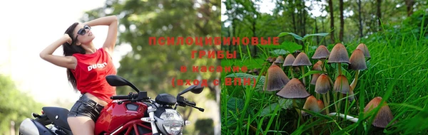 амф Алексеевка