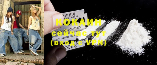 бошки Каменка